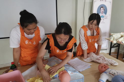 貴陽南明區(qū)家政服務(wù)公司收費標(biāo)準(zhǔn)詳解